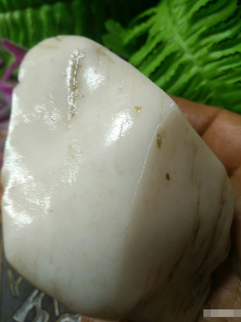 260克戈壁羊脂玉籽料.