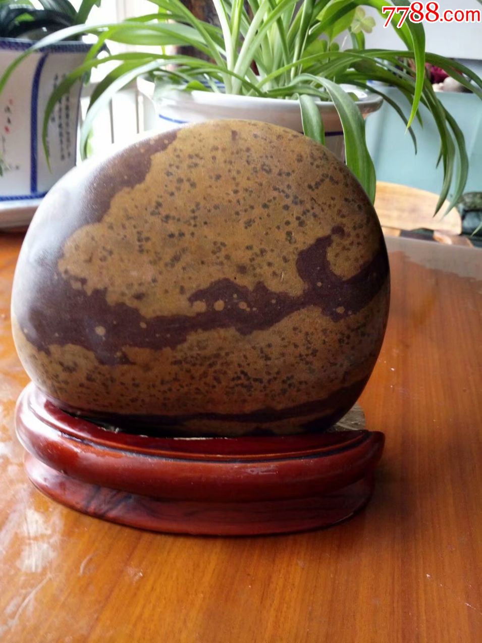 春耕_长江石_产地图片_收藏价值_7788奇石收藏