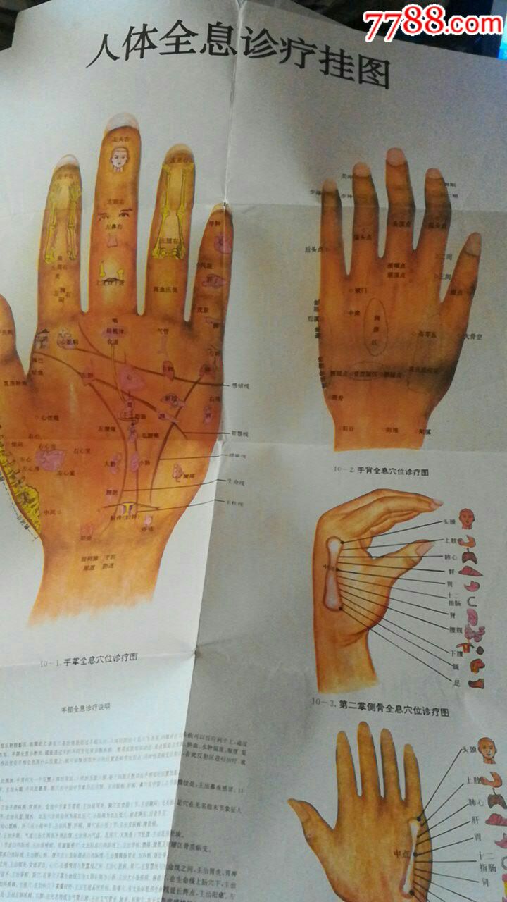人体全息诊疗挂图(三张)