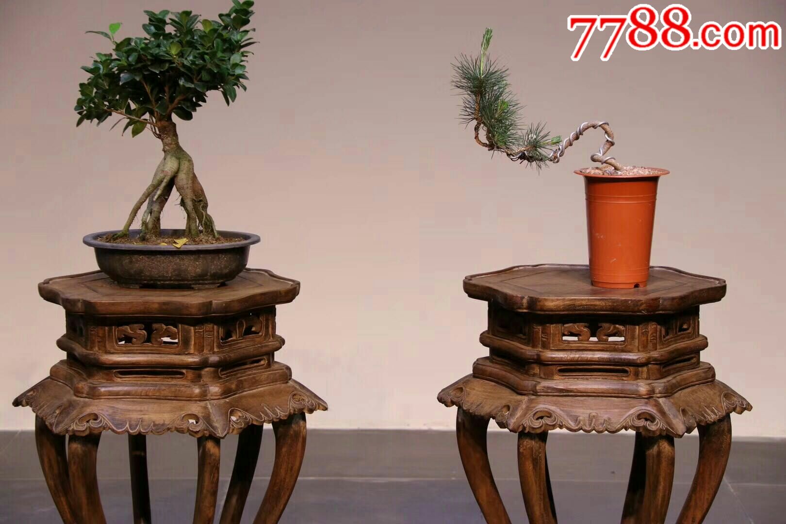 典藏—宫廷花几.制式稳重典雅.造型美观大方