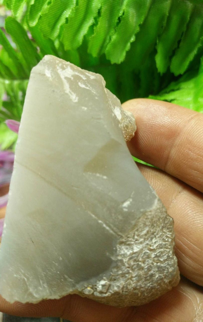 97.9克茶冰种蛋白玉.