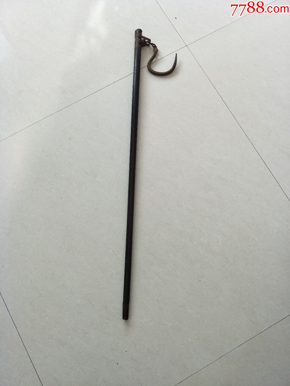 包老包快长83厘米