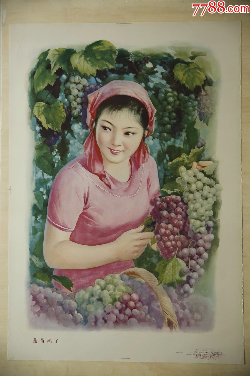 葡萄熟了.急需周转便宜出!