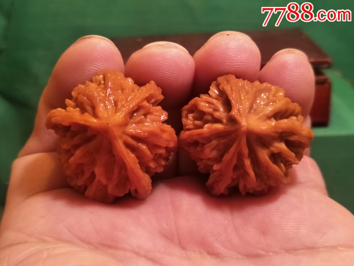 极品苹果园狮子头小*棱正奔