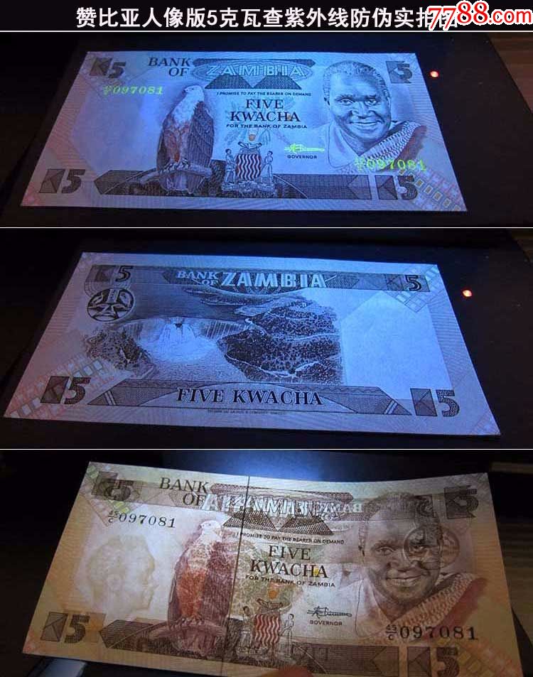 全新赞比亚5克瓦查总统海雕版纸币非洲外币外国钱币收藏品