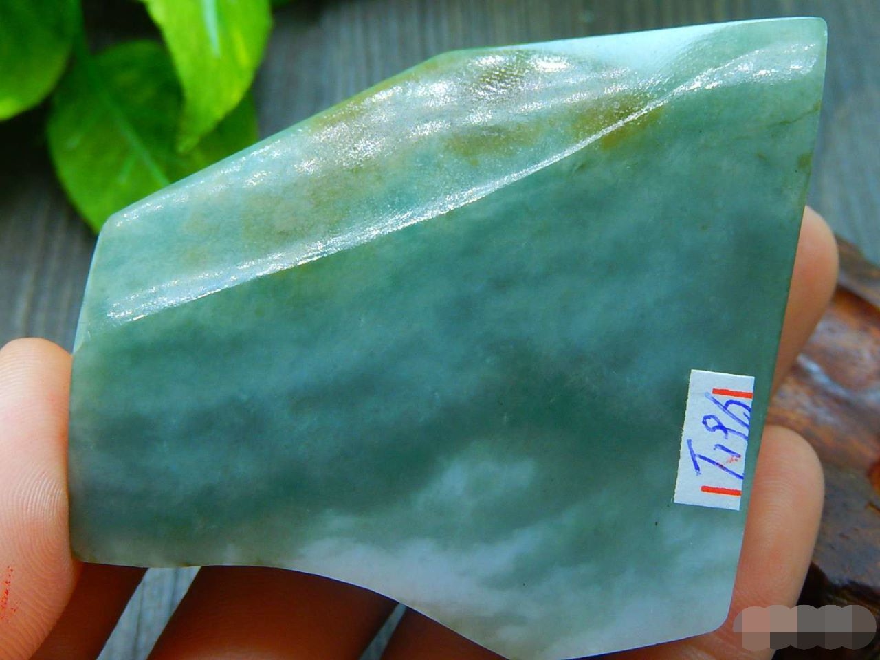 140克特色老油青片料