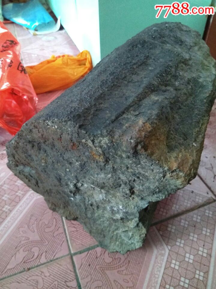 金丝楠树化石