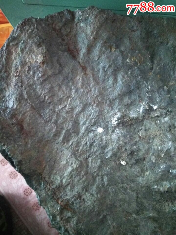 金丝楠树化石-价格:80000元-se61688366-硅化木/木化石-零售-7788工艺