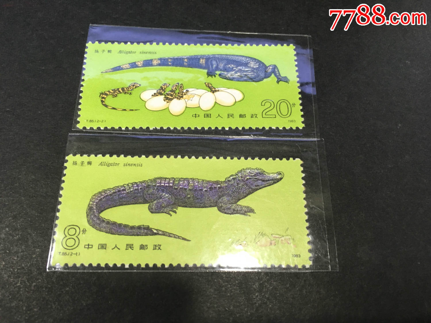 t85,扬子鳄原胶白润亮保真包品-价格:10元-se61712352-新中国邮票