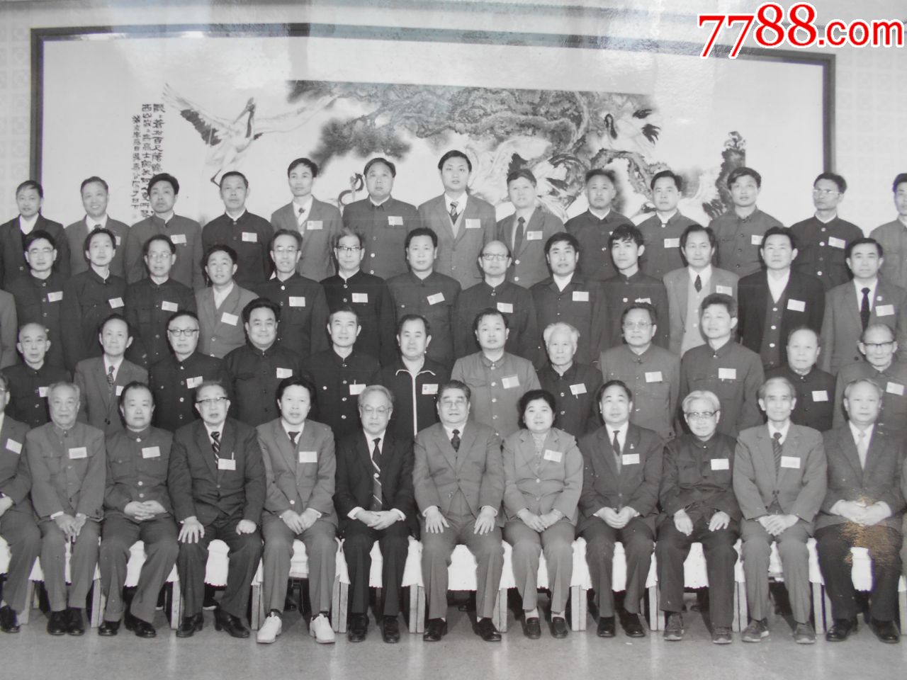 老照片【1987年,江苏省第六届人民代表大会南京市代表团合影】长卷