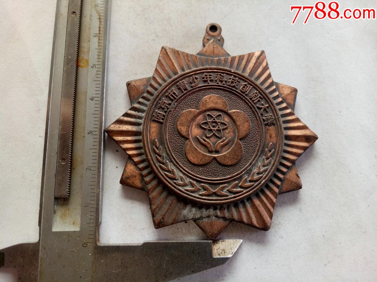 南京市青少年科技创新大赛纪念章