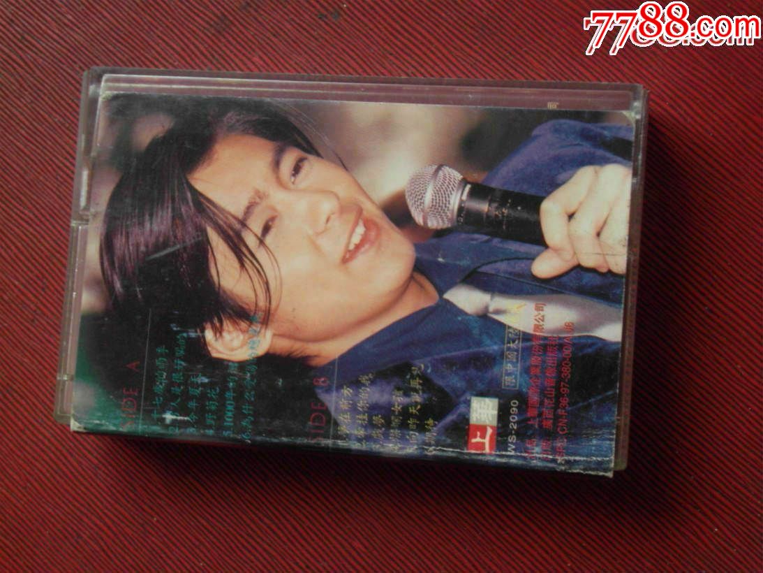 林志颖---野菊花--(10个以上免快递!