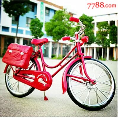 洋车子老二八式自行车