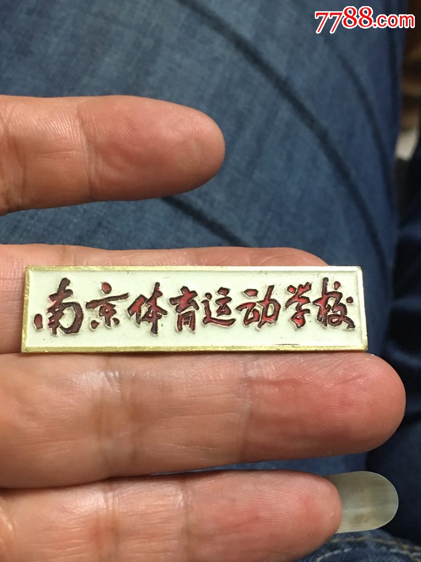 南京体育运动学校(稀少)-价格:100元-se61897277-校徽/毕业章-零售