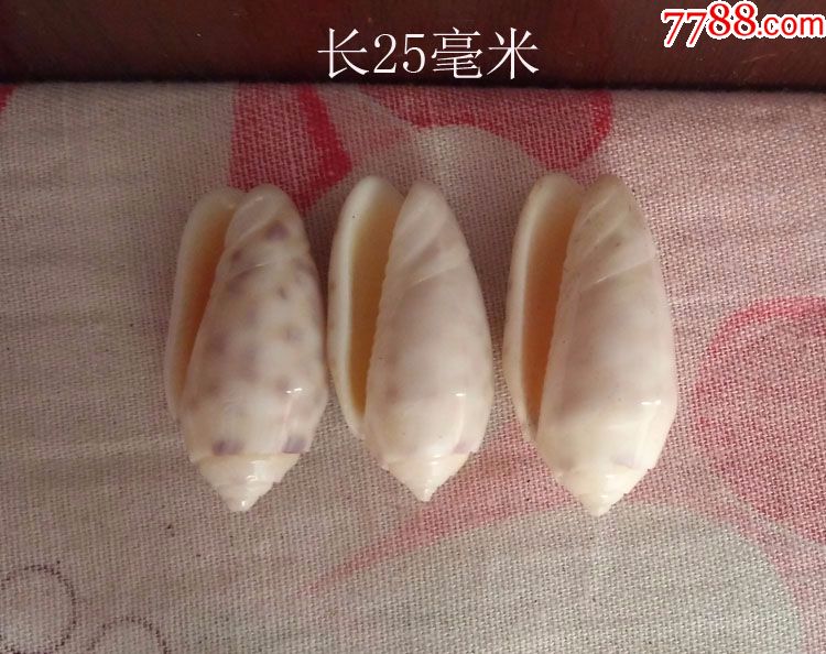 南海贝壳观音佩可做挂件