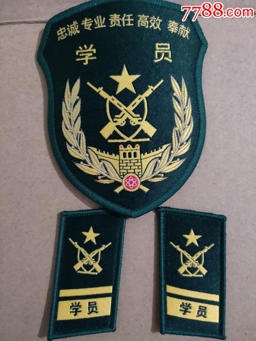 学员臂章领章合拍