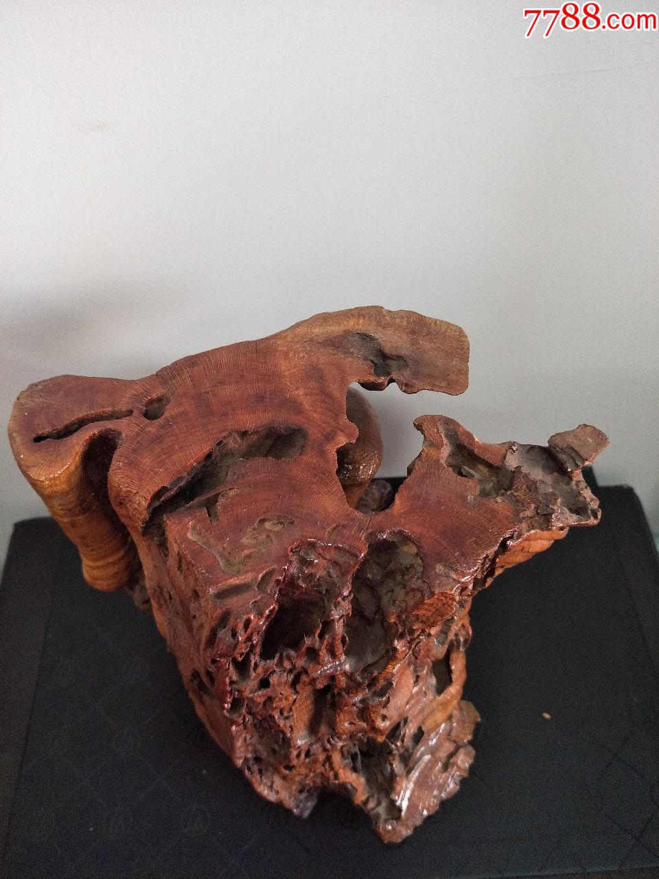  !doctype html>  html lang="en">  head>      meta chars