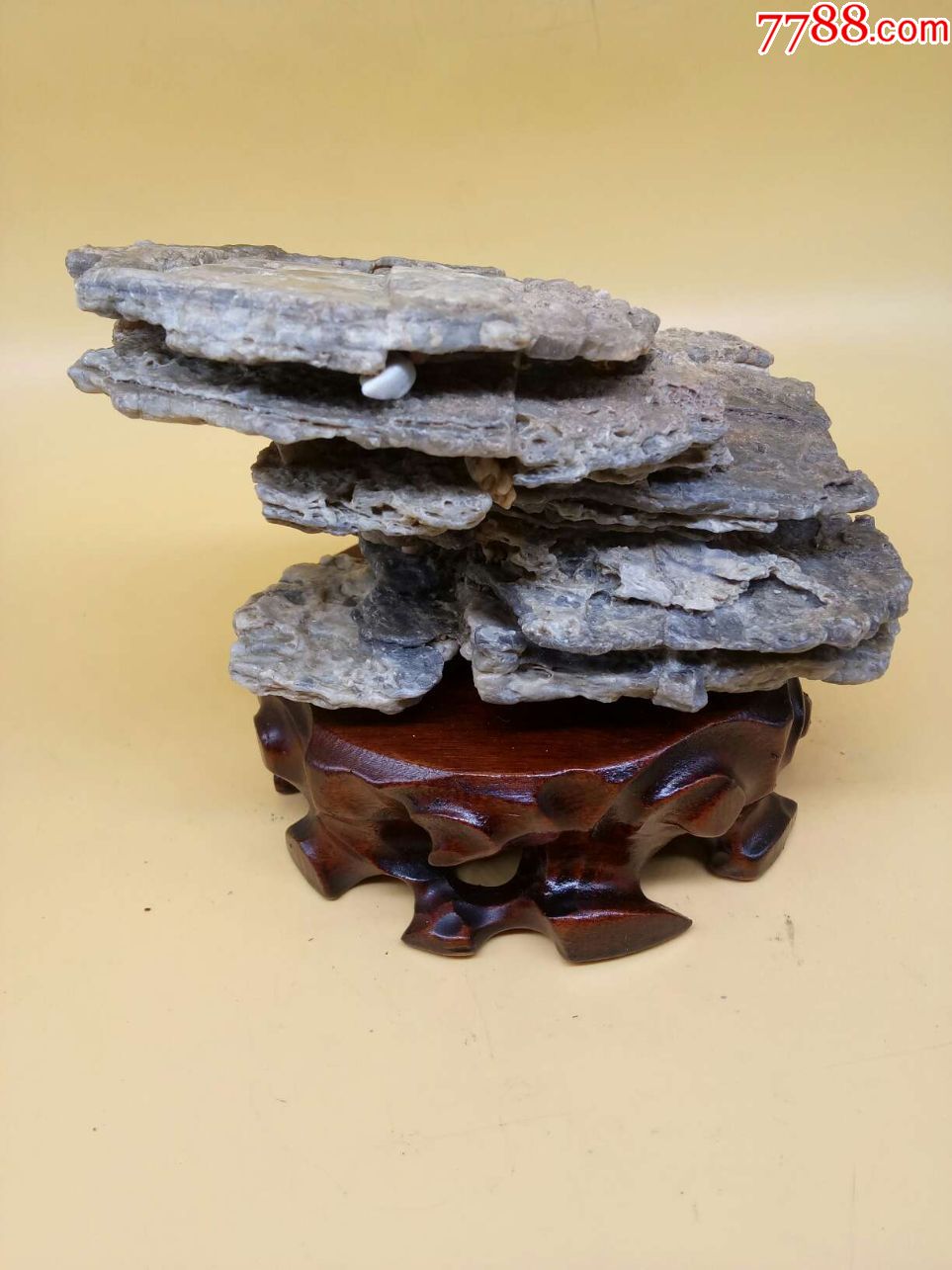 新疆沙漠风凌石_风砺石/戈壁石_第6张_7788奇石收藏