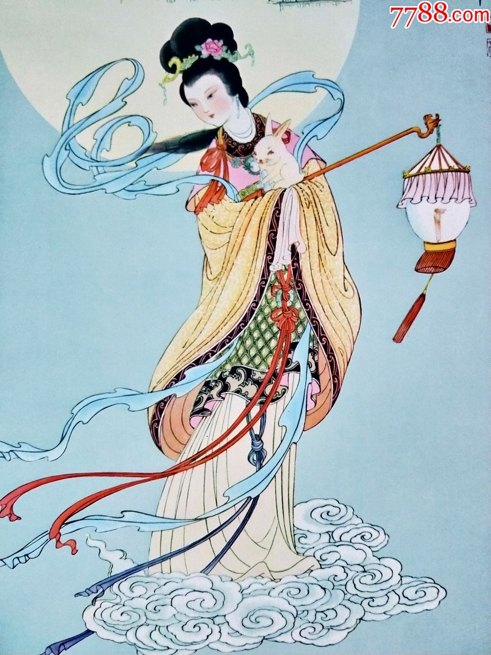 嫦娥奔月---长2开-------稀缺品种-----网站唯一