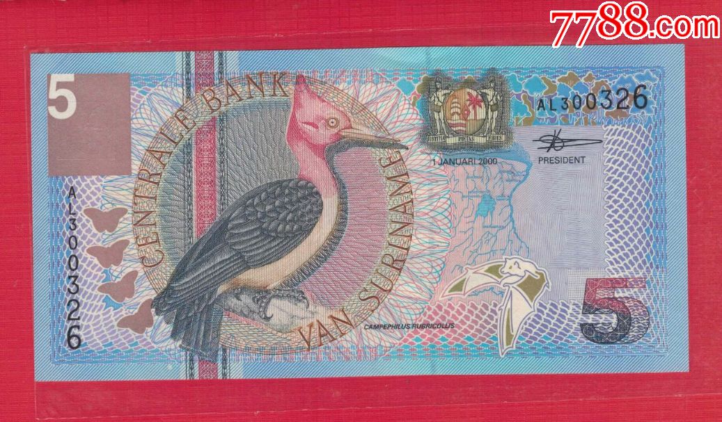 苏里南2000年5元实物扫描unc