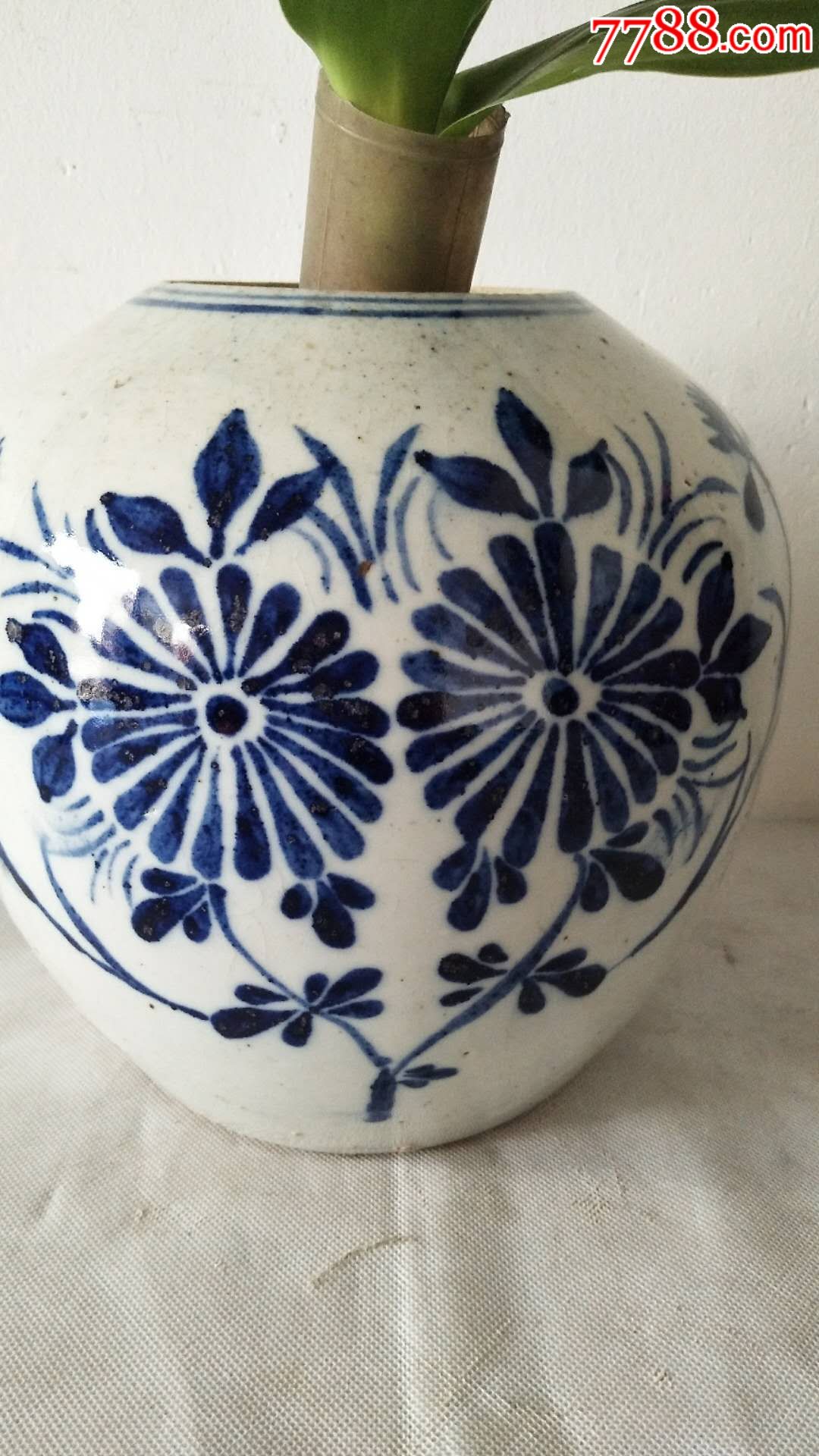民国青花大肚罐_青花瓷_第2张_7788瓷器