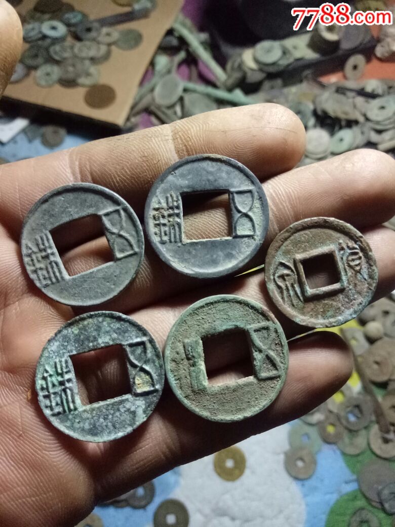 精品五株钱一组