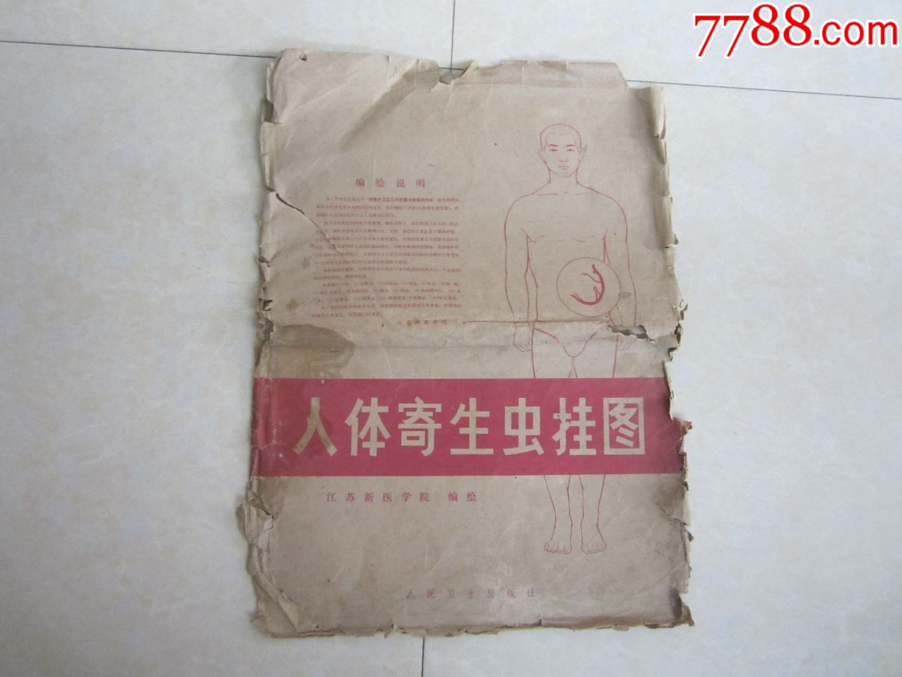 76年全开人体寄生虫挂图