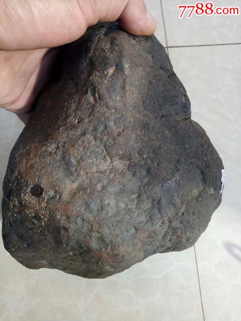 西北非五彩球粒陨石(弱磁)