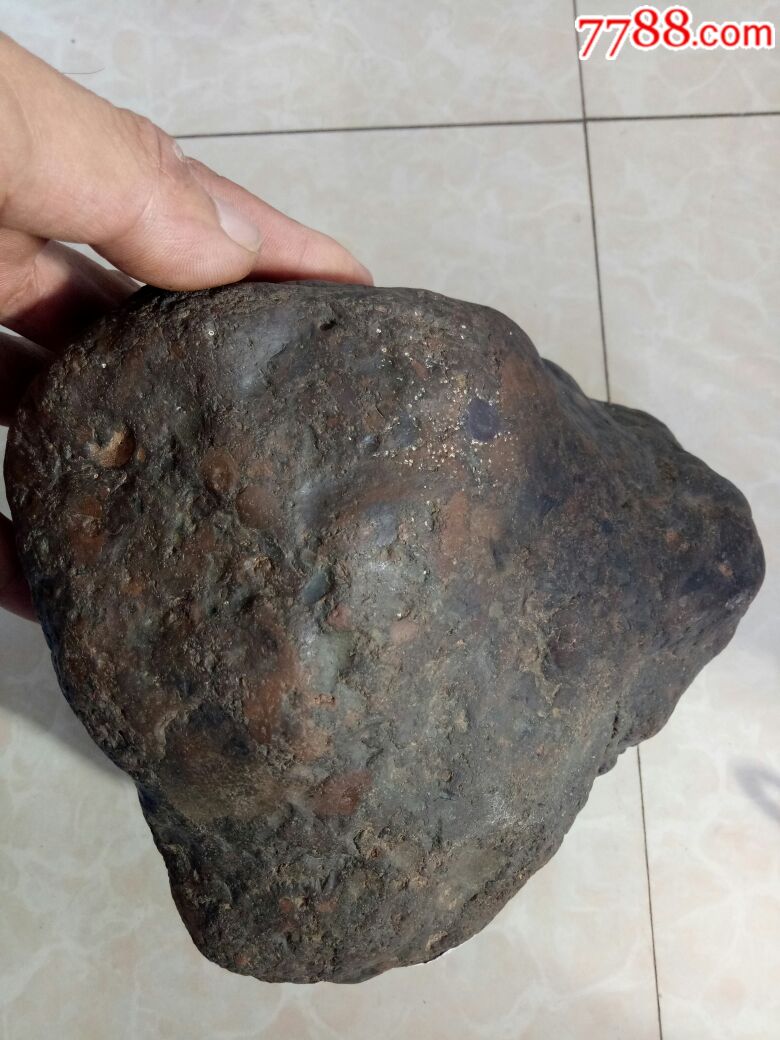 西北非五彩球粒陨石(弱磁)