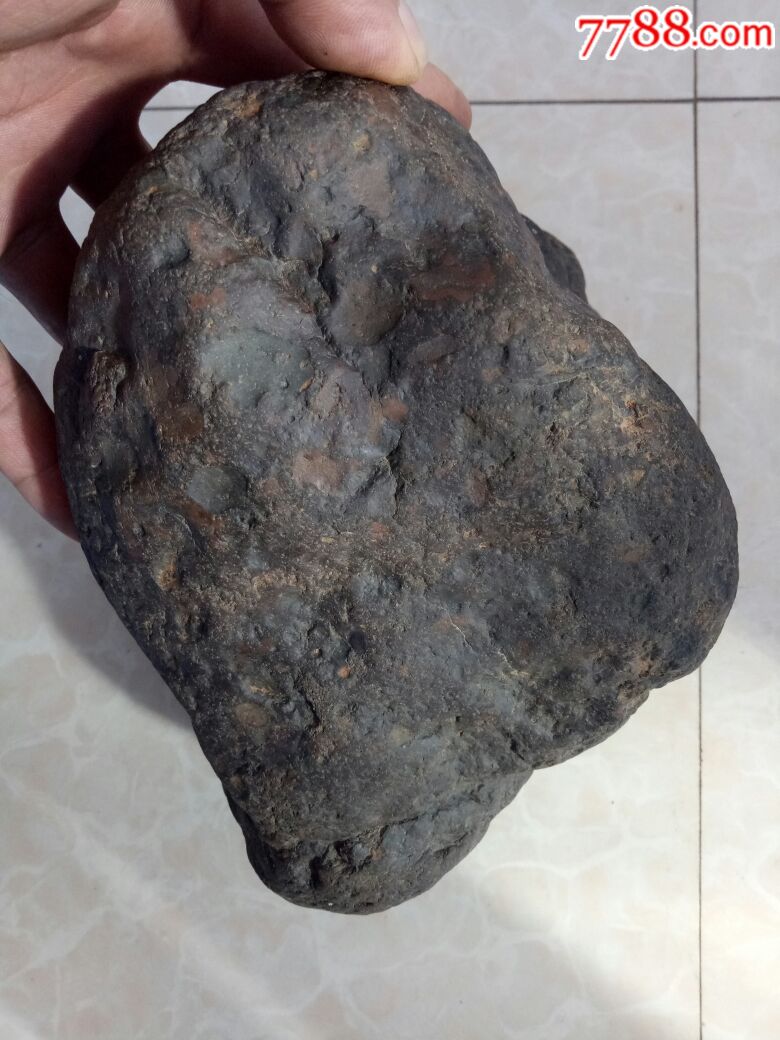 西北非五彩球粒陨石(弱磁)