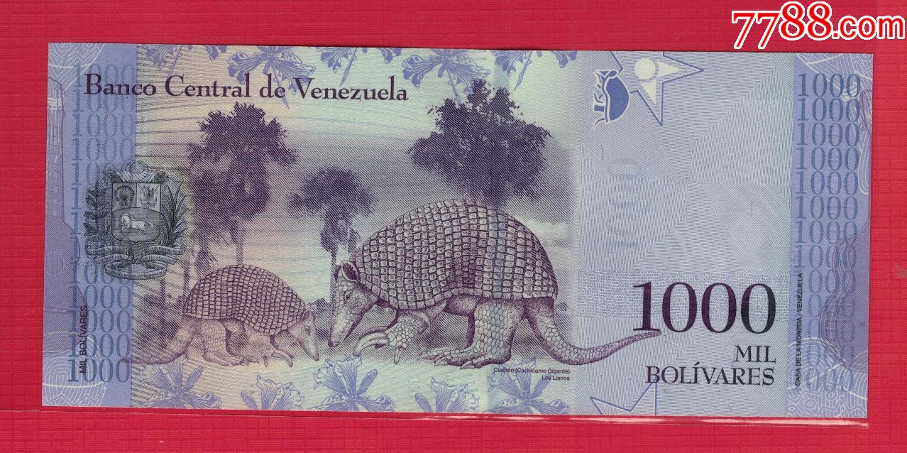 委内瑞拉1000面值纸币图片