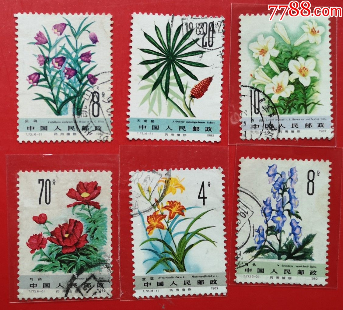 t72药用植物_新中国邮票_第1张_7788集邮网