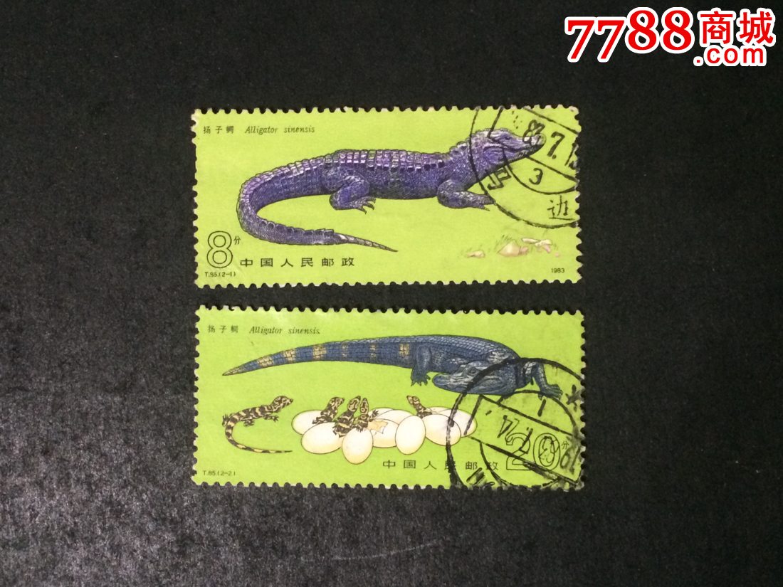 t85扬子鳄-信销票一套,新中国邮票_第1张_7788邮票收藏