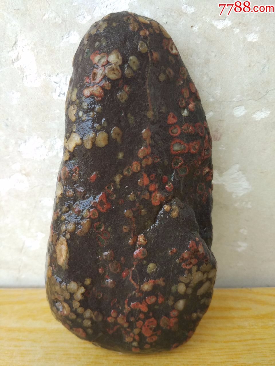 洛阳奇石433梅花石原石"雪里红梅"(注:此石没有了,佛山朋友已定)