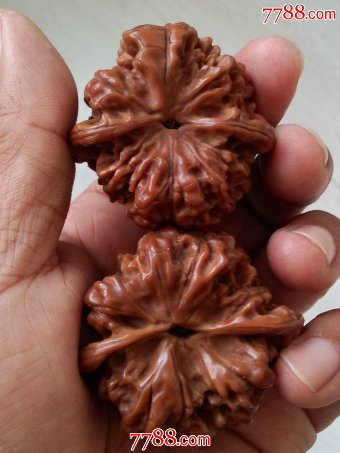 包浆红润全品大个扁核桃一对同售