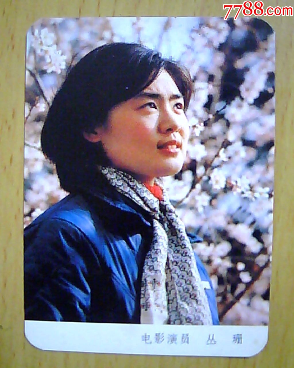 明星画片:电影演员-丛珊