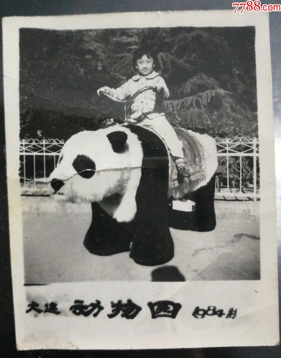 大连动物园【小女孩骑大熊猫】