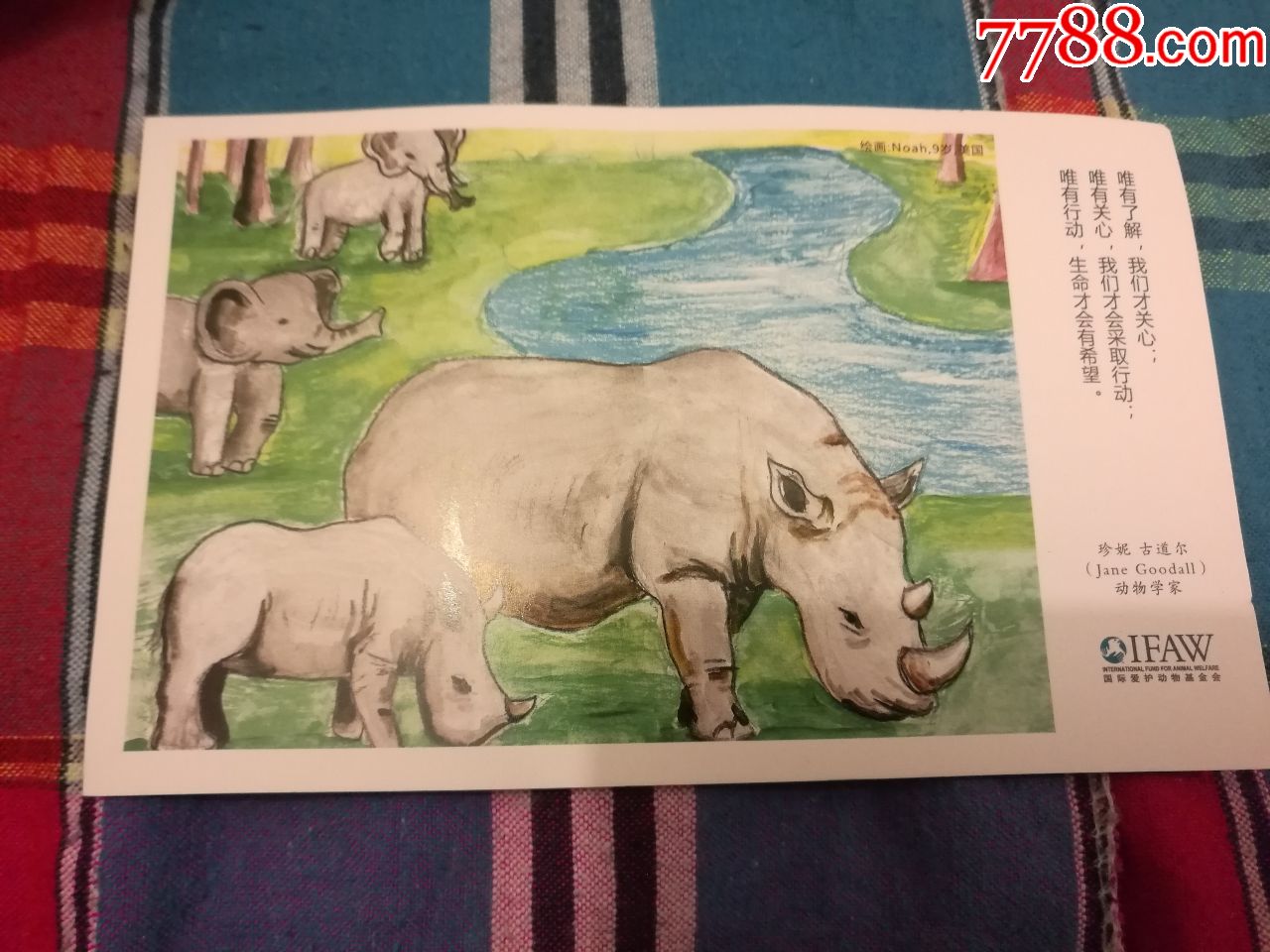明信片犀牛国际爱护动物基金会1张