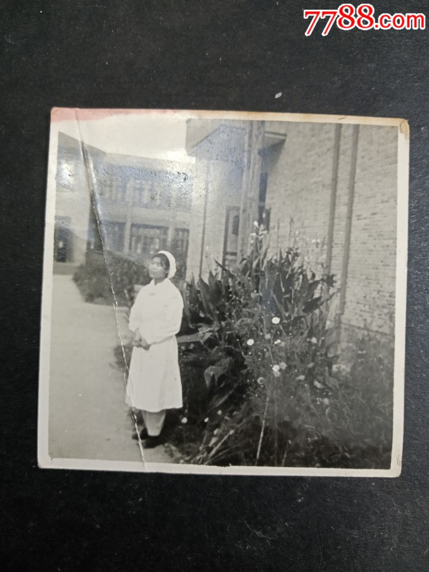 早期美女护士照片