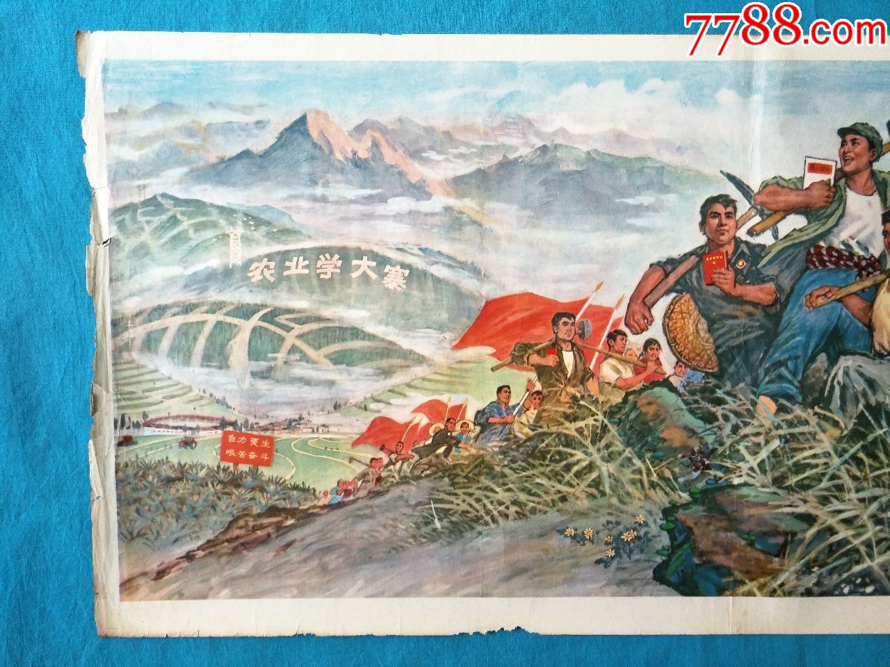 农业学大寨