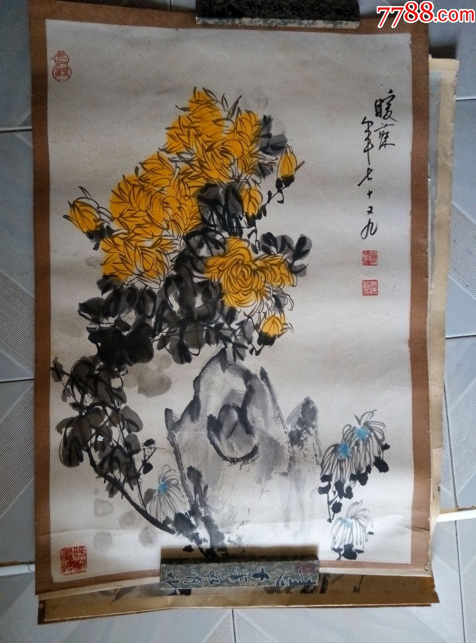 林暖苏菊花69*48cm左右