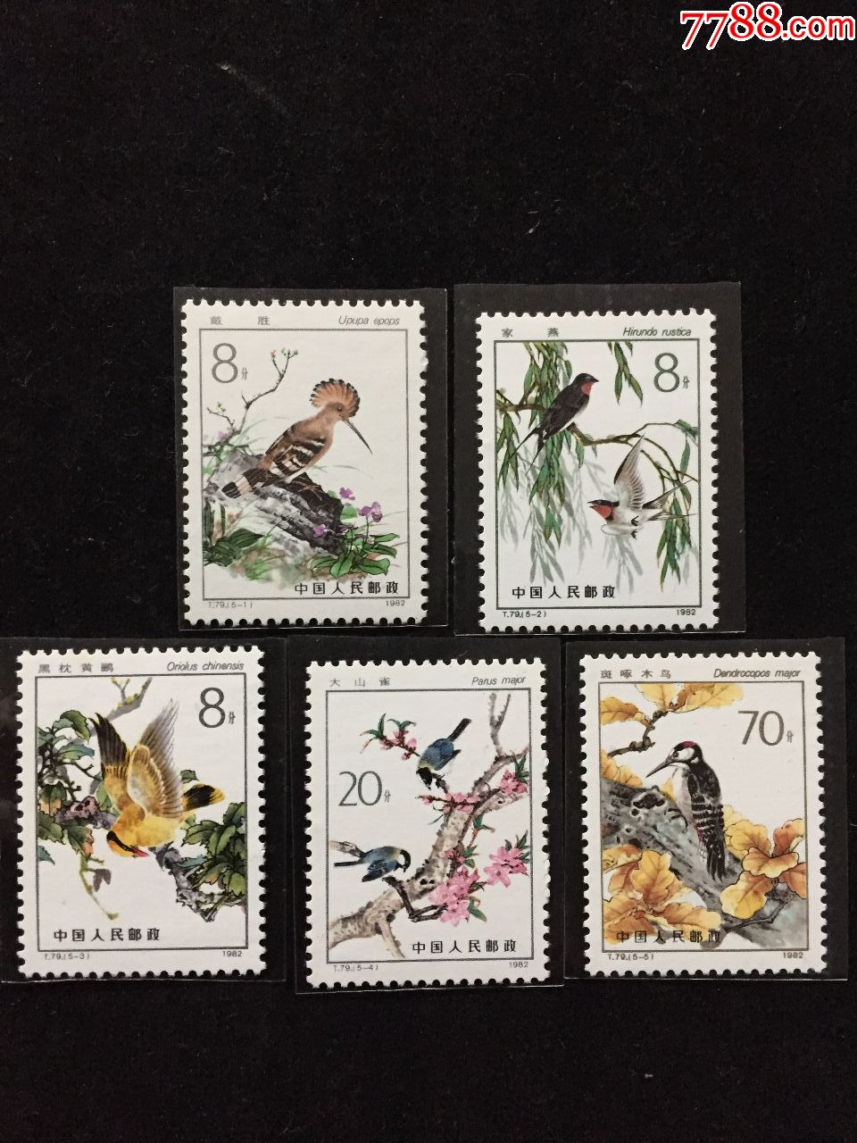 0000元-se62558893-新中国邮票-零售-7788收藏__中国收藏热线