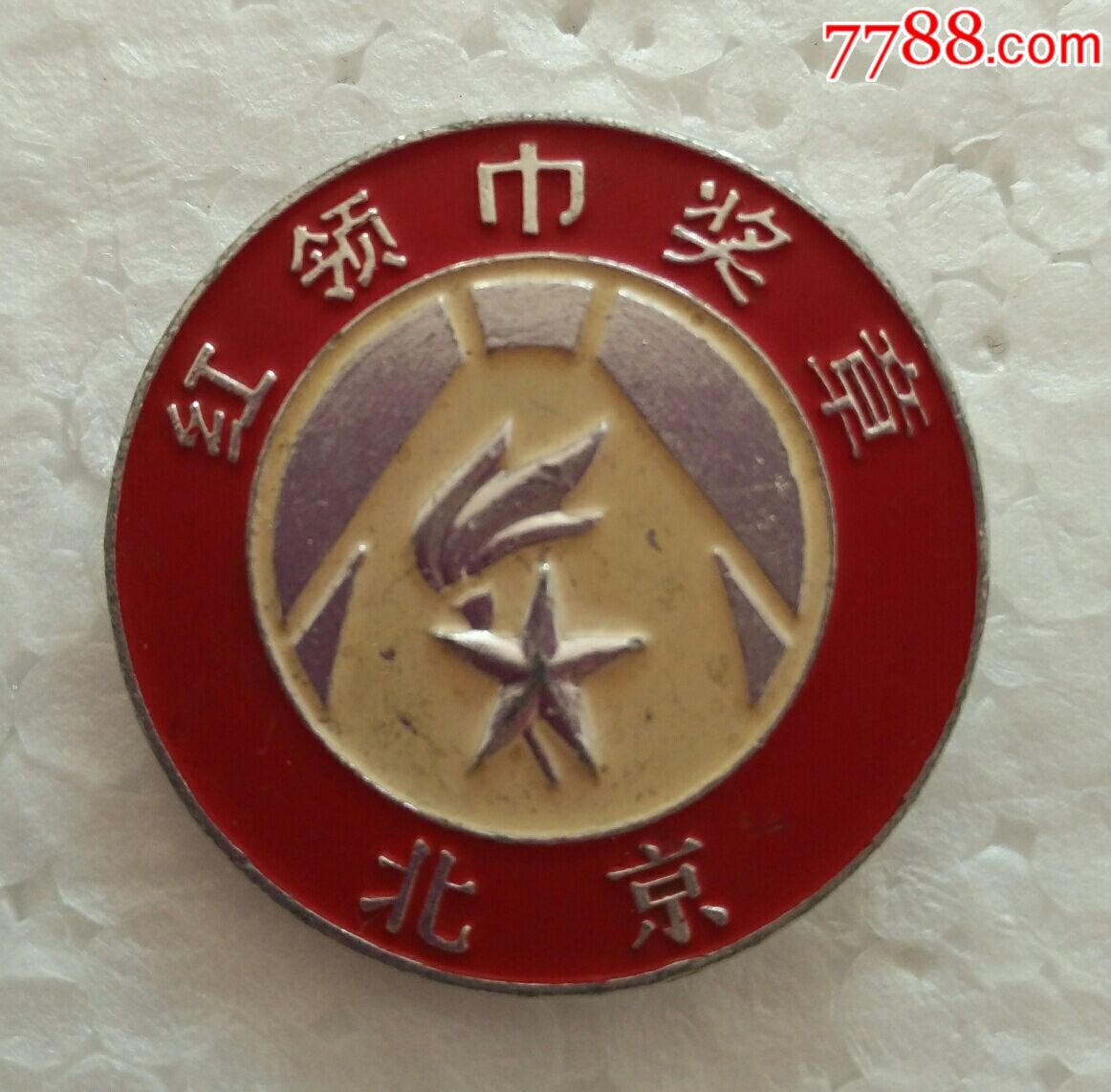 北京市红领巾奖章图片