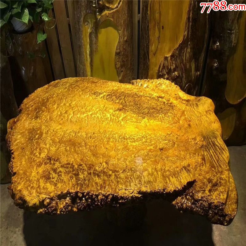 黄金樟随形大板多功能茶板可作干泡茶盘使用黄金樟毛料实木大板台