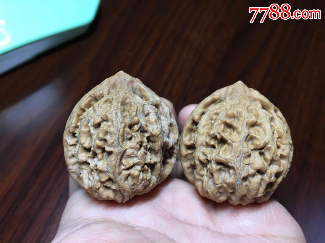 文玩核桃野生粗筋大肚狮子头