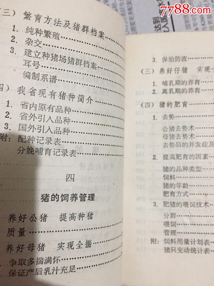72年养猪手册