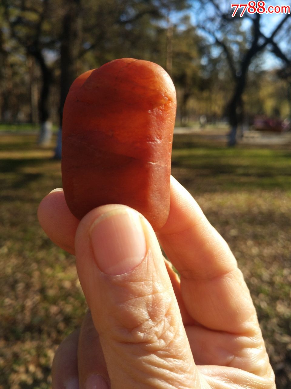 红的金丝玉,宝石光