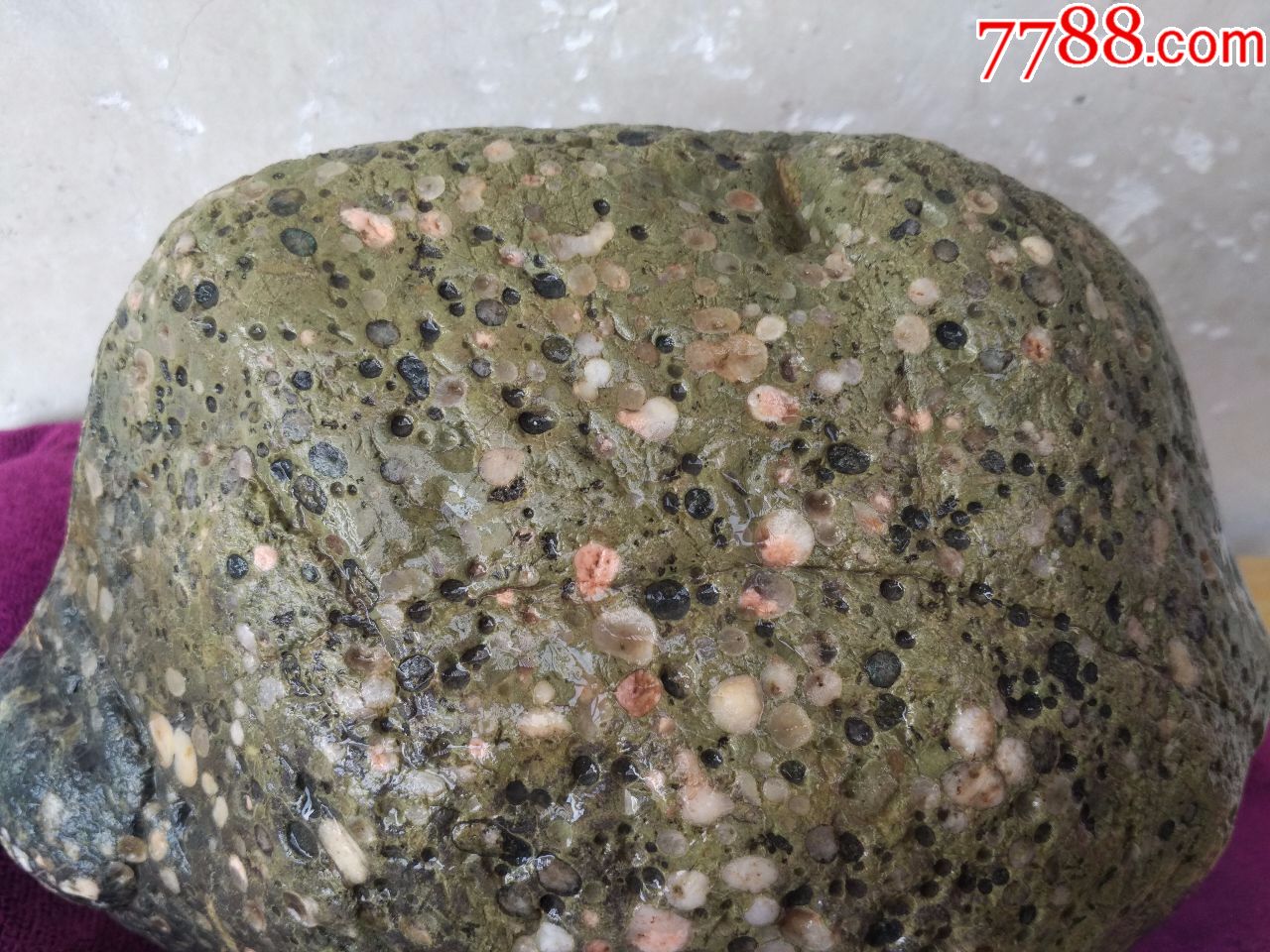 洛阳奇石574梅花石原石"星光点点"