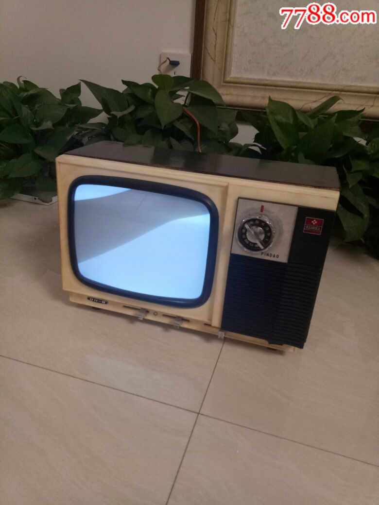 百花牌9寸黑白电视机