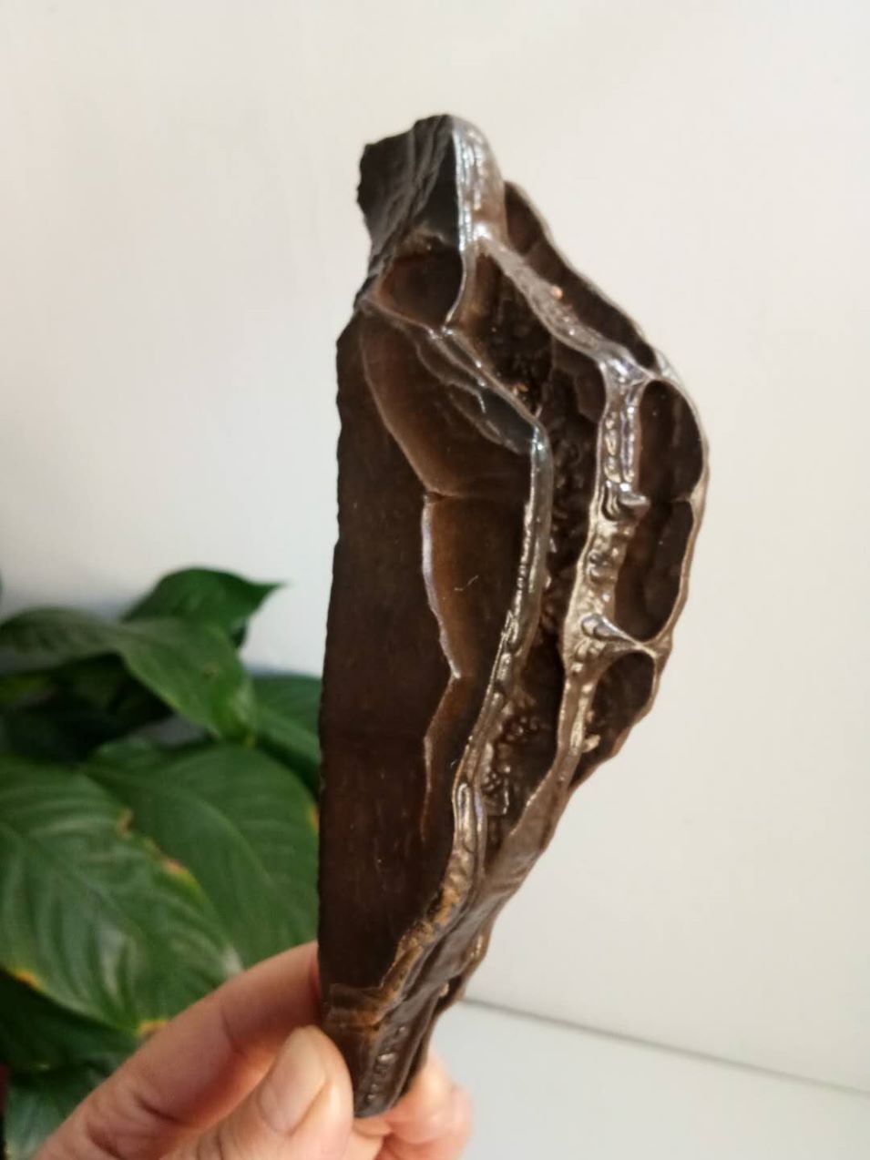 天然戈壁泥石珍品-----黄河岸边-价格:1800元-se6